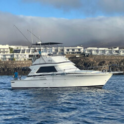 Bertram 37 Macaronesia Lanzarote 10