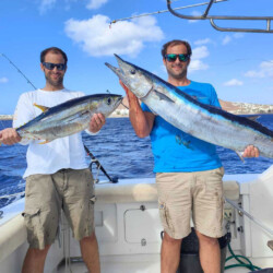 Bertram 37 Macaronesia Lanzarote 14