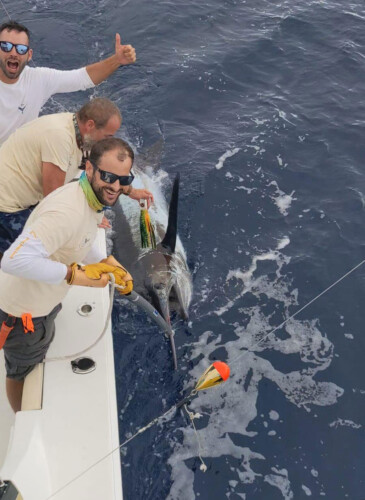 Bertram 37 Macaronesia Lanzarote 3