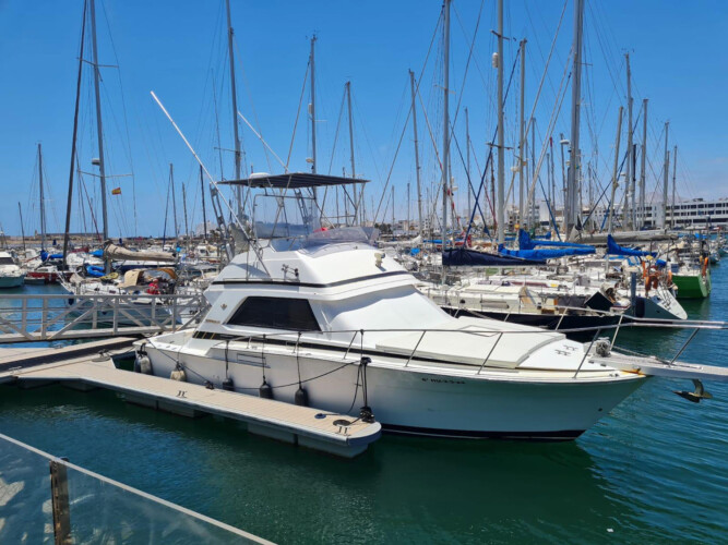 Bertram 37 Macaronesia Lanzarote 6