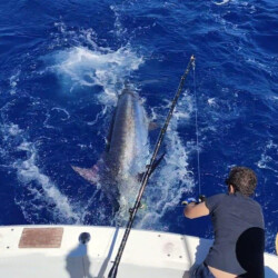 Bertram 37 Macaronesia Lanzarote 8