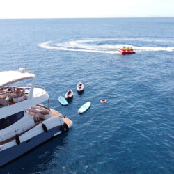 Flash Cat Lanzarote 11