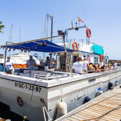 Katfish-Lanzarote-10