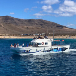 Katfish Lanzarote 8