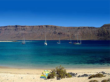 Local Expertise and Knowledge