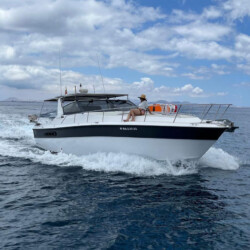 Sea Ray Lanzarote 16
