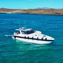 Sea Ray Lanzarote 7