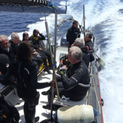 Speed RIB Lanzarote 5