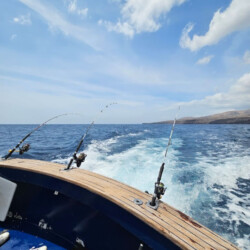 Striker Lanzarote 10