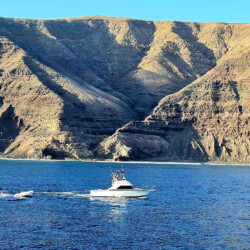 Bertram 28 Lanzarote 10