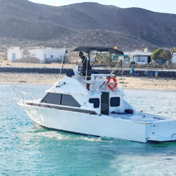 Bertram 28 Lanzarote 14