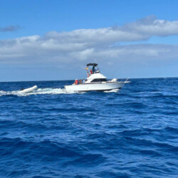 Bertram 28 Lanzarote 17