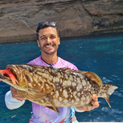 Bertram 28 Lanzarote 7