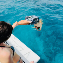 sailboat Loft40 Lanzarote 18